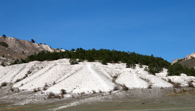downs covered with pine forest, calciphilous steppe vegetation