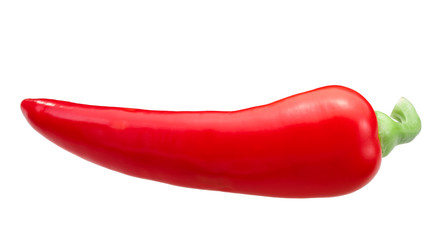 Red chile pepper c. annuum, paths