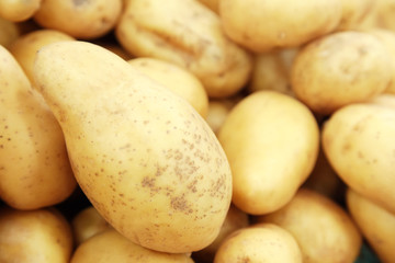 Raw potatoes closeup group