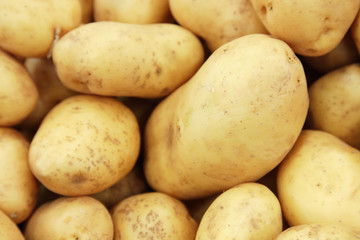 Raw potatoes closeup group