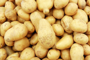 Raw potatoes closeup group