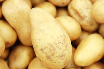 Raw potatoes closeup group