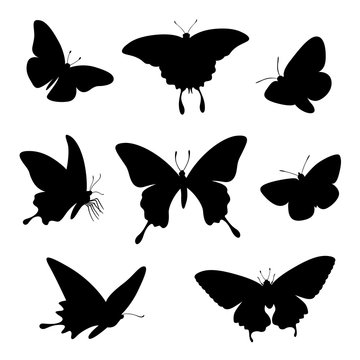 butterfly silhouette illustration set