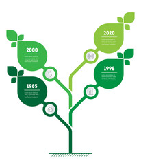 Vertical green infographics or timeline. The sustainable development and growth of the eco business. Time line. Business concept with 4 options, steps.