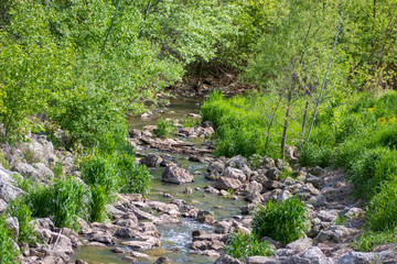 Winding stream at High Cliff 