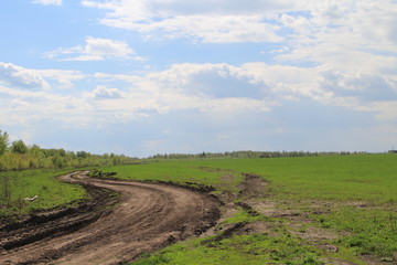 Fototapeta na wymiar Landscape with a dirt road in Russia