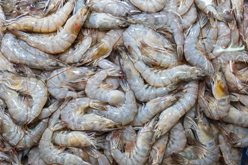 Sea shrimps at street market in Thailand. Raw prawns for cooking .