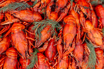 boiled crayfish at the street food festival