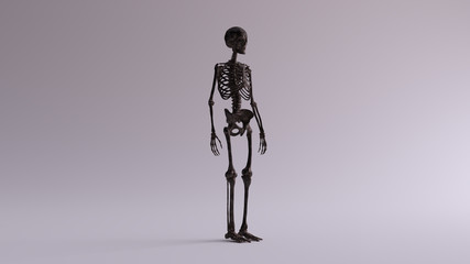 Black Iron Skeletal System Anatomical Model 3 Quarter Front Right View 3d illustration 3d render