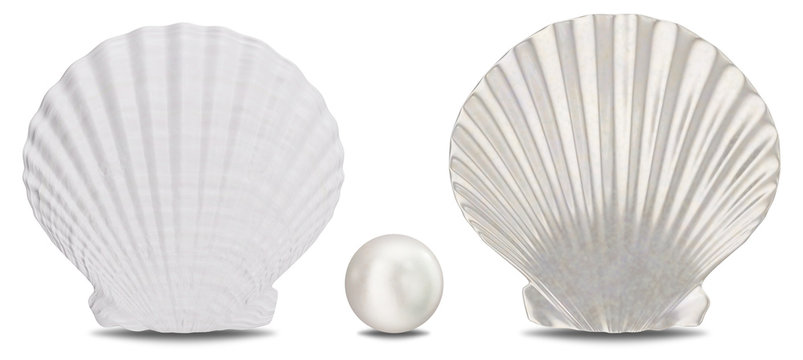 Set of pearls, sea shell, inner and outer side isolated on white background with shadow. Sea shell front view. Gem, women's jewelry, nacre beads, 3D illustration
