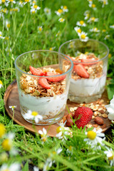 Yogurt with granola and strawberries in a glass on natural background Summer picnic