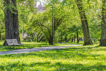 Fresh green grass field and walking path in outdoor park