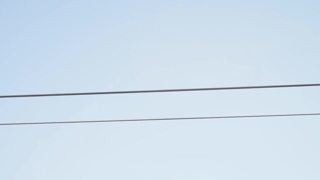 Cable Lines and Clear Sky