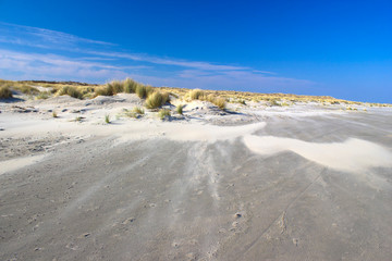 the dunes, Renesse, Zeeland, the Netherlands