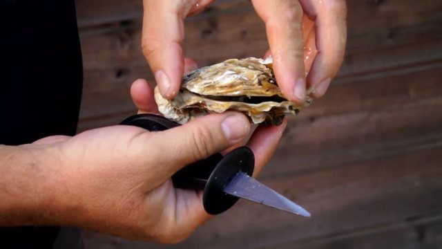Male hand removes the top of the shell with a fresh open oyster