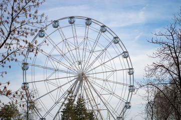 Obraz premium White Ferris wheel with glass light-blue cabins against the blue sky in trees frame. Wheel in amusement city park.