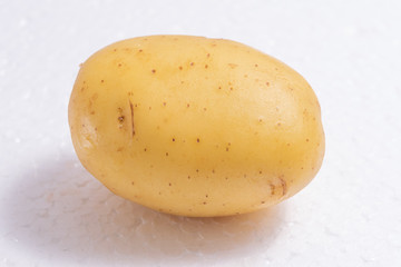 Potato