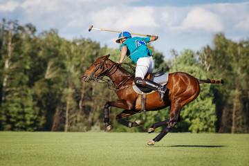 Horse polo player hit the ball with a mallet in action. Profile side view - obrazy, fototapety, plakaty