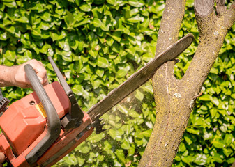 Closeup of woodcutter sawing chainsaw in motion..