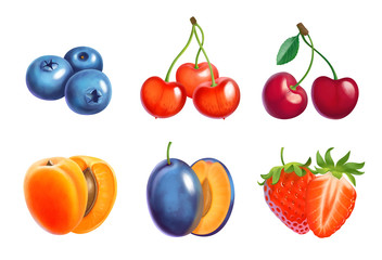 Fruit and berries  illustration