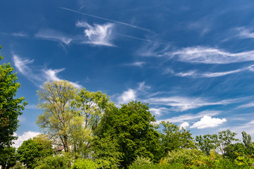 Obraz premium Blauer Sommerhimmel mit verschiedenen Wolkenformationen