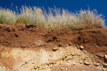 Soil profile under grassland