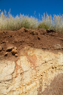 Soil profile under grassland
