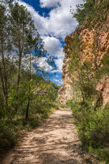 Road in forest. Hiker route in the 