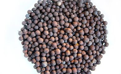 Black Peppercorns isolated on white background. full depth of field