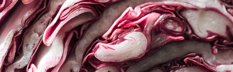 panoramic shot of cut fresh red cabbage