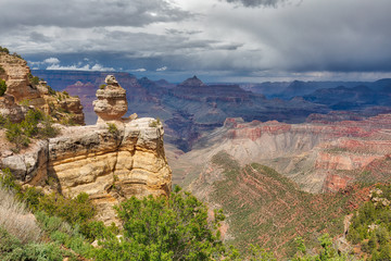 Grand Canyon View