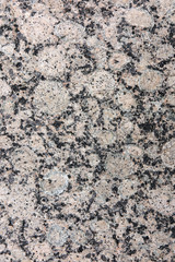 Granit