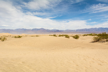 Fototapeta na wymiar Mesquite Flat Sand Dunes in Death Valley National Park. California, USA