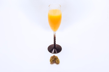 Cannabis flower and mimosa on white background