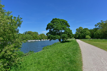 Spring Walk along the Thames on the Path Near Richmond