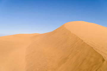 The sands of Maspalomas. Beautyful dunes in the south of Gran Canaria