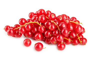 Red currant berry isolated on white background