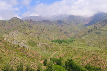 Fototapeta na wymiar Road among the mountains in Uzbekistan, top view