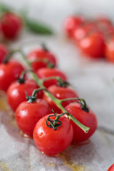 Fresh red tomatoes on a branch of with basil.	