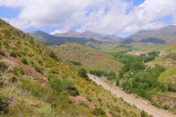 Fototapeta na wymiar Road among the mountains in Uzbekistan, the spring vegetation on the hillside
