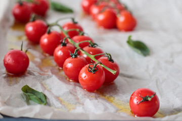 Fresh red tomatoes on a branch of with basil.	