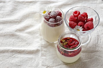 Creamy panna cotta with fresh raspberry