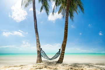 Palmen mit Hängematte am Strand