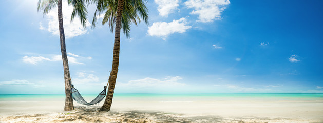 Palmen mit Hängematte am schönen Strand