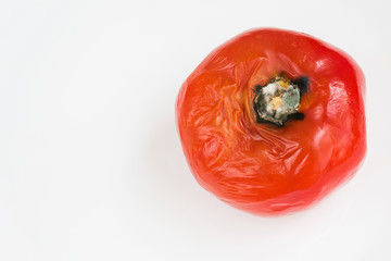 Rotten tomato spoiled by fungi and mold on white background. Inappropriate storage of vegetables.