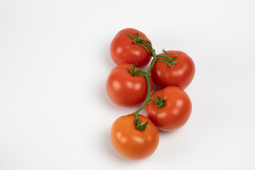 tomato on cut out branch on white background
