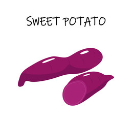 Vector illustration of sweet potato, also yam, batata. Modern flat design.