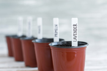 White tags in brown pots. Potted plants on white wooden background.