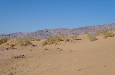 Fototapeta na wymiar Sand dunes in the desert, selective focus