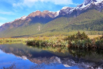 Tranquility- reflections view of Fiordland taken at Milford Sound, New Zealand